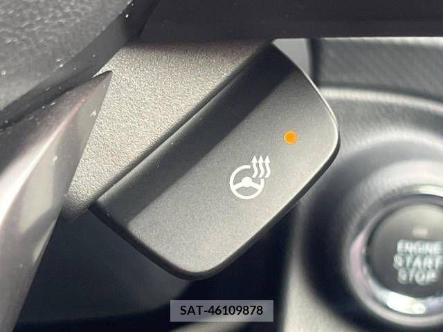 Subaru FORESTER 2020-01 316004-14