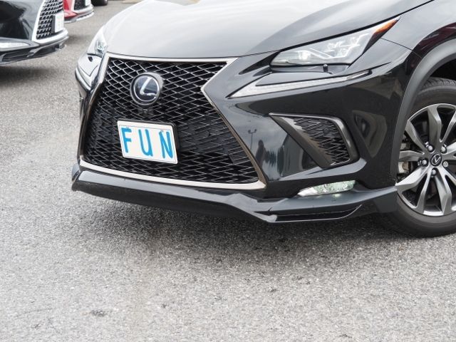 Lexus NX 2018-12 15215-6
