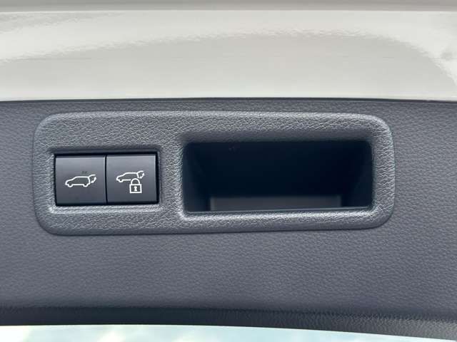 Toyota HARRIER 2022-09 13618-19
