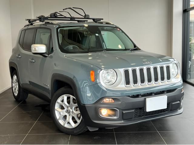 Jeep RENEGADE 2017-01 195572-16