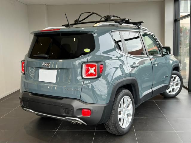 Jeep RENEGADE 2017-01 195572-19