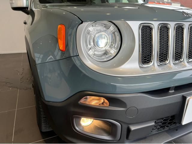 Jeep RENEGADE 2017-01 195572-27