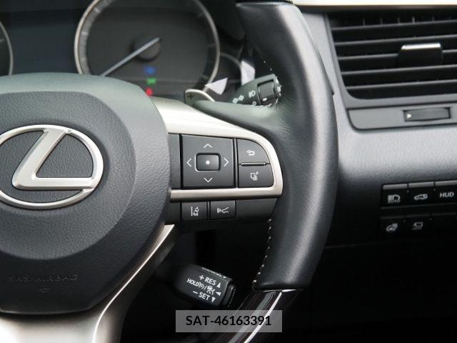 Lexus RX 2020-01 207327-18