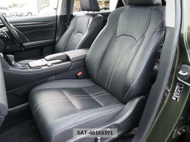 Lexus RX 2020-01 207327-11