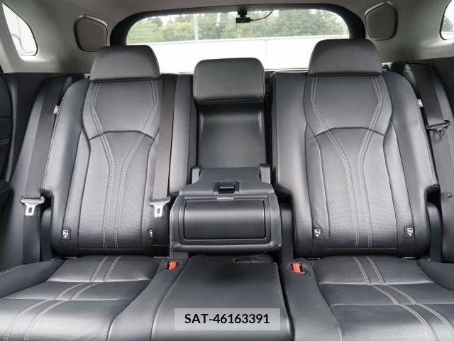 Lexus RX 2020-01 207327-12