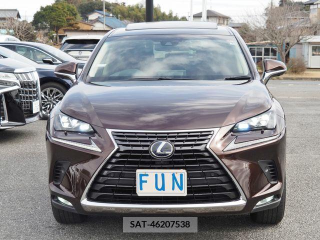 Lexus NX 2019-02 222245-1
