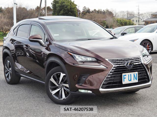 Lexus NX 2019-02 222245-2