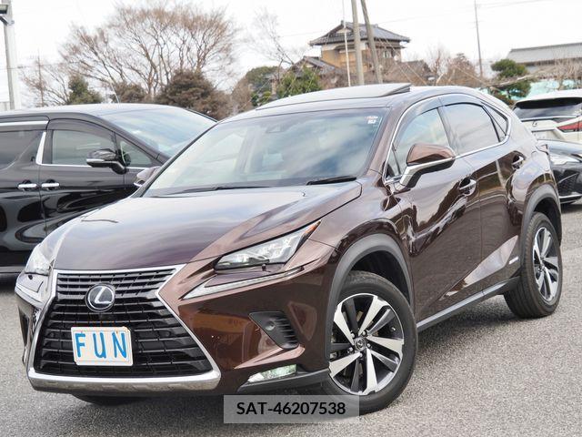 Lexus NX 2019-02 222245-3