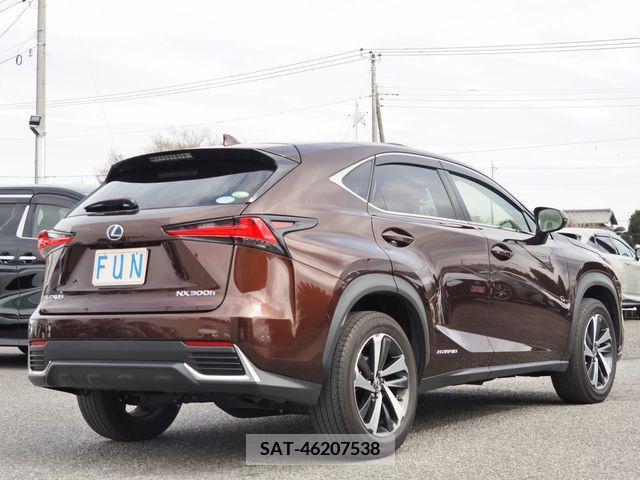 Lexus NX 2019-02 222245-4