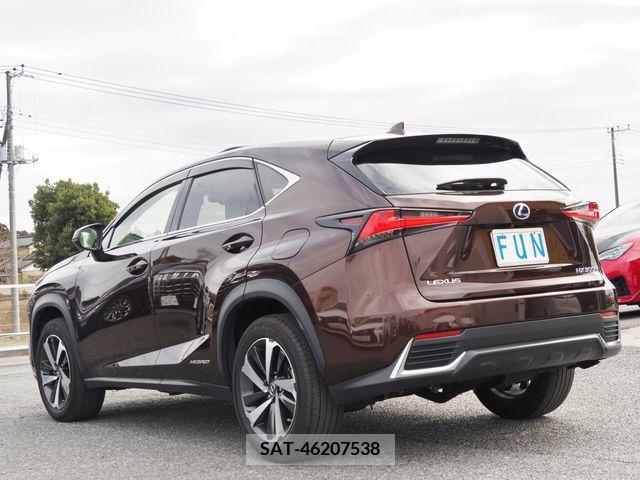 Lexus NX 2019-02 222245-5