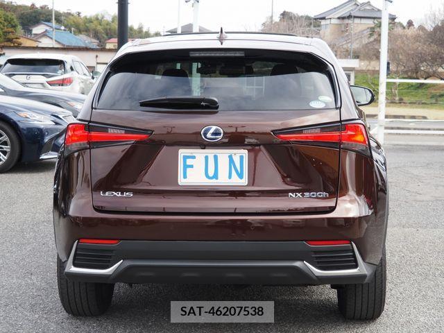 Lexus NX 2019-02 222245-6