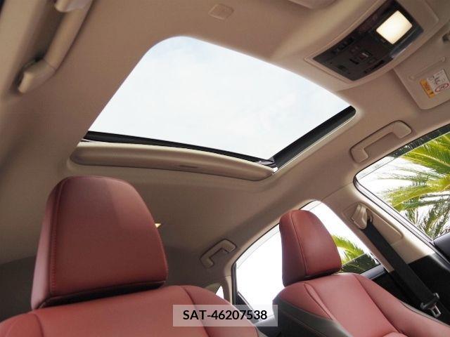 Lexus NX 2019-02 222245-8