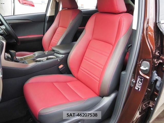 Lexus NX 2019-02 222245-11