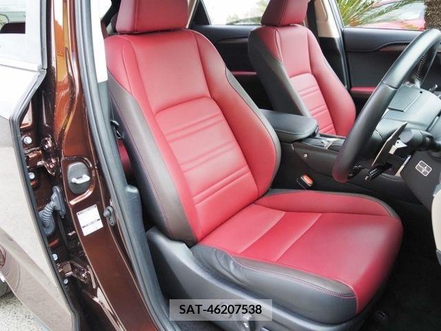 Lexus NX 2019-02 222245-10