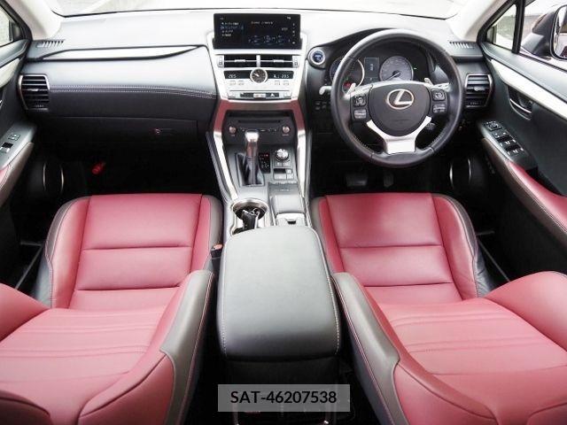 Lexus NX 2019-02 222245-9