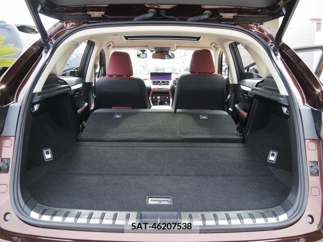 Lexus NX 2019-02 222245-14