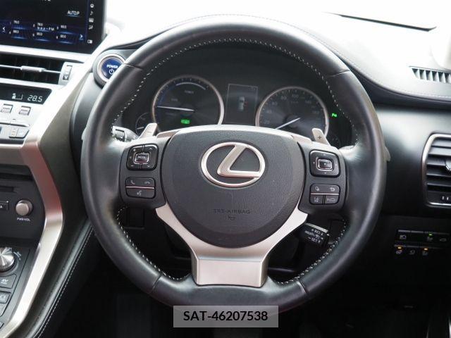 Lexus NX 2019-02 222245-15