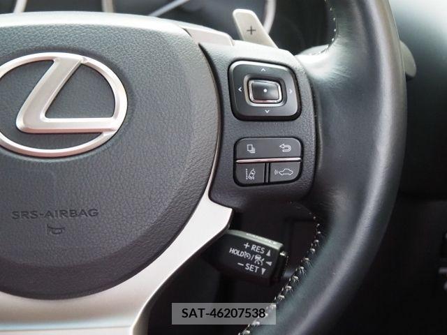 Lexus NX 2019-02 222245-16