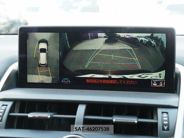 Lexus NX 2019-02 222245-18