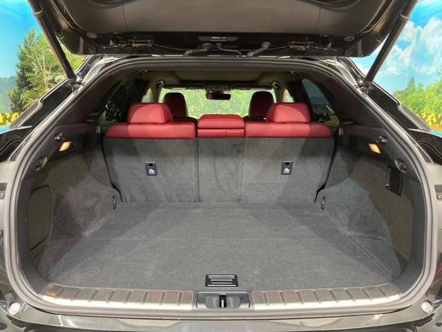 Lexus RX 2015-10 21374-10