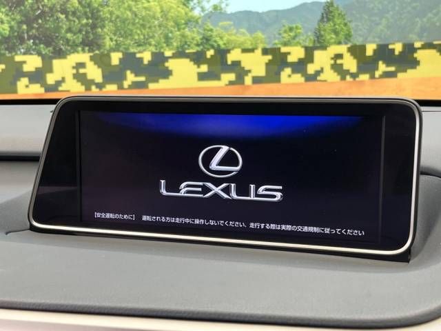 Lexus RX 2015-10 21374-3