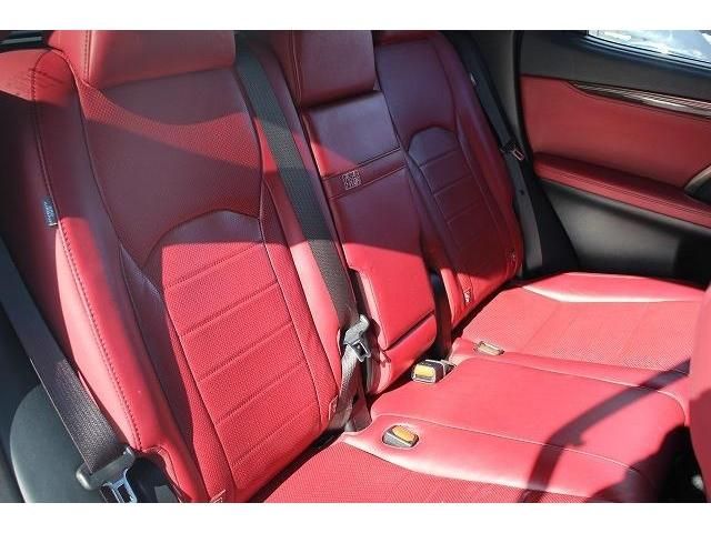 Lexus RX 2017-01 6672-15