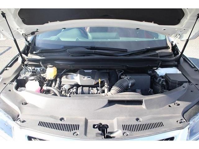 Lexus RX 2017-01 6672-18
