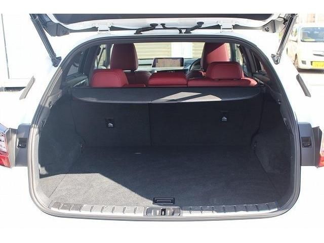 Lexus RX 2017-01 6672-17
