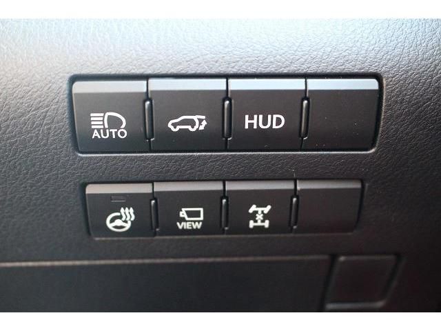 Lexus RX 2017-01 6672-5