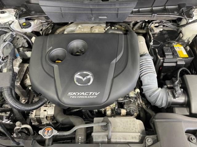 Mazda CX-8 2018-03 196806-19