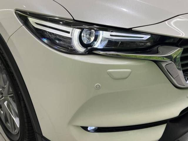 Mazda CX-8 2018-03 196806-13