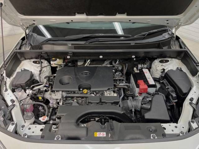 Toyota RAV4 2021-01 192113-18