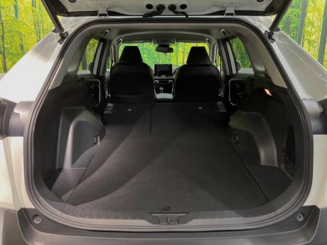 Toyota RAV4 2021-01 192113-10