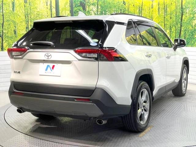 Toyota RAV4 2021-01 192113-17