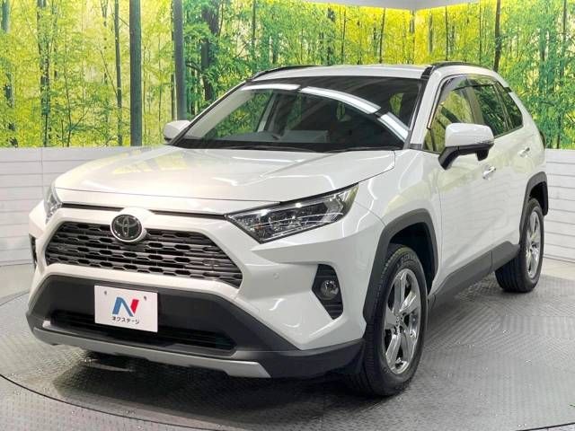 Toyota RAV4 2021-01 192113-16