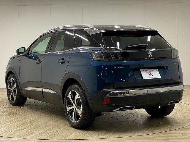 Peugeot 3008 2021-11 18098-13