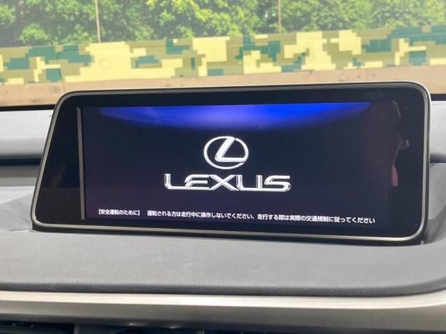 Lexus RX 2016-12 193802-2