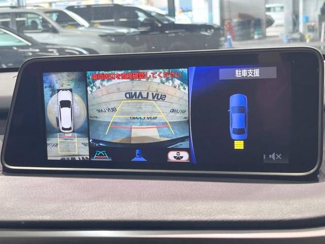 Lexus RX 2016-12 193802-3