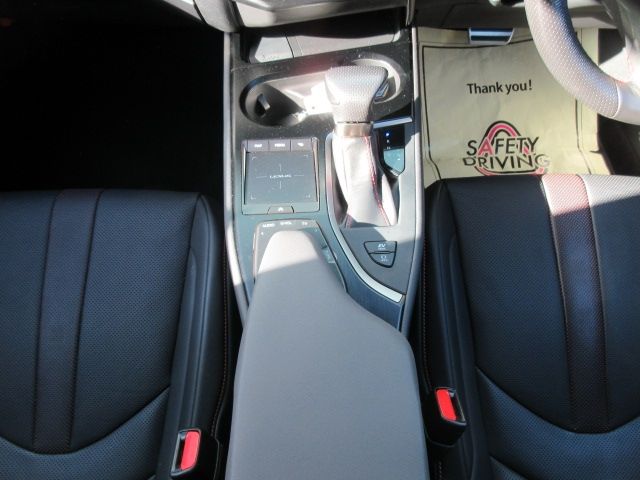 Lexus UX 2018-12 182415-25