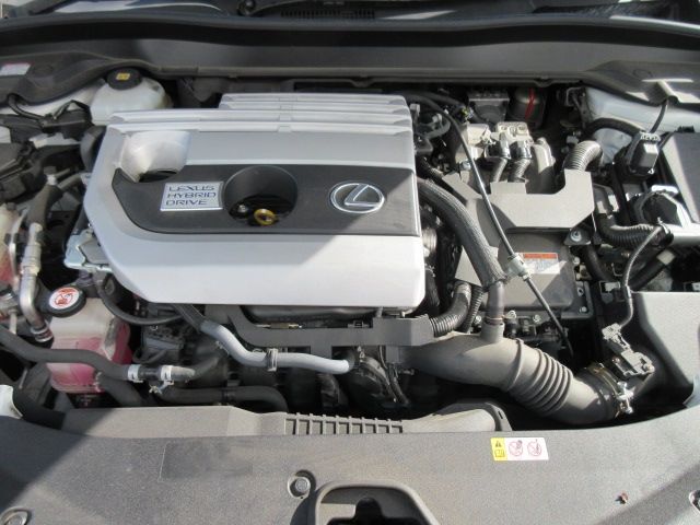 Lexus UX 2018-12 182415-28