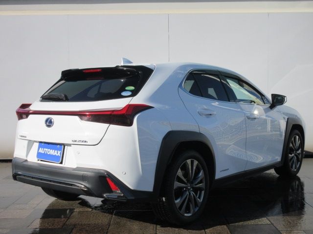 Lexus UX 2018-12 182415-2