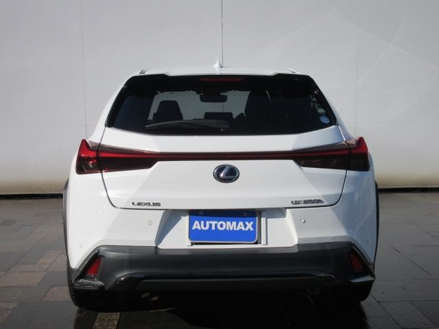 Lexus UX 2018-12 182415-5