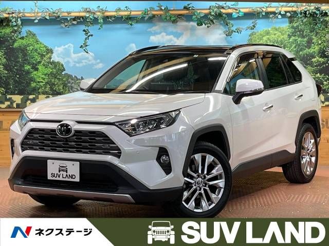 Toyota RAV4 2021-06 191440-0