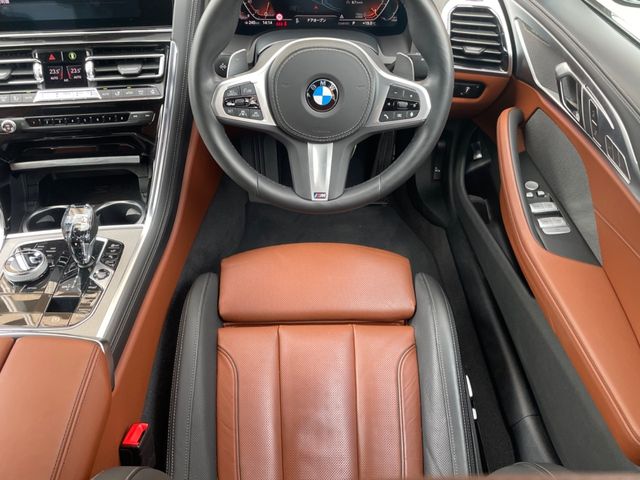 Bmw 8 SERIES 2020-02 816-14