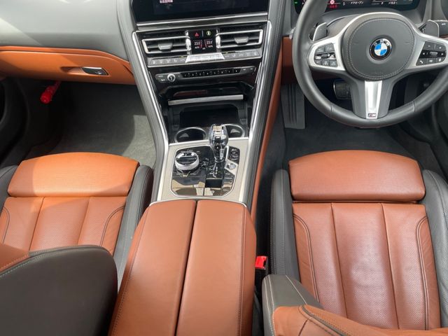 Bmw 8 SERIES 2020-02 816-16