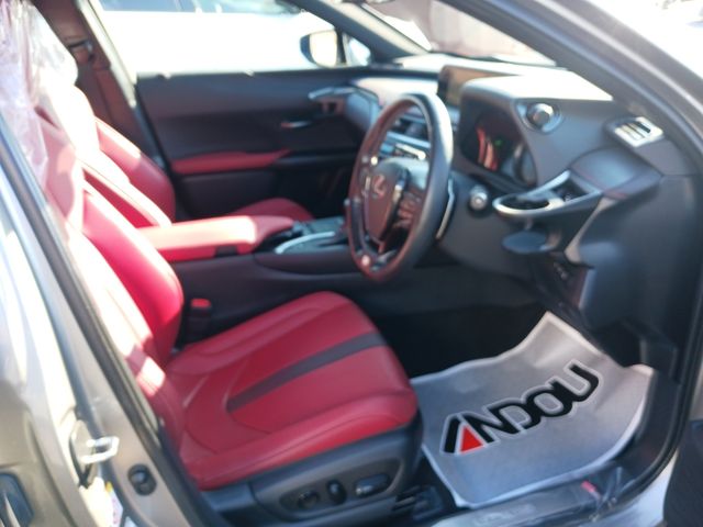 Lexus UX 2019-08 195605-10