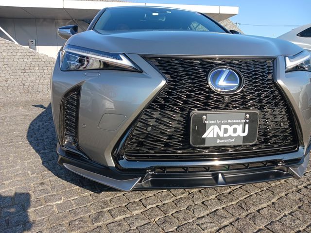 Lexus UX 2019-08 195605-4