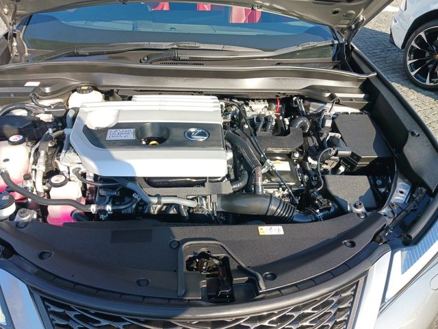 Lexus UX 2019-08 195605-26