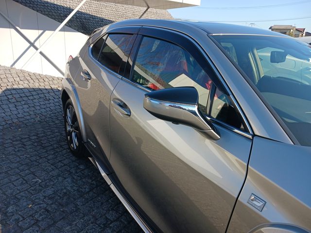 Lexus UX 2019-08 195605-3