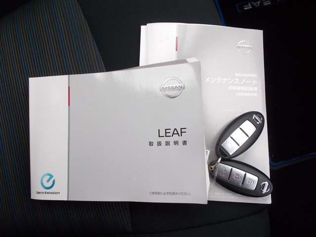 Nissan LEAF 2017-12 11983-5